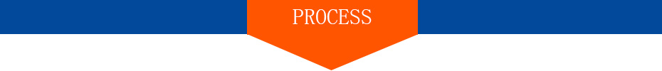 Process